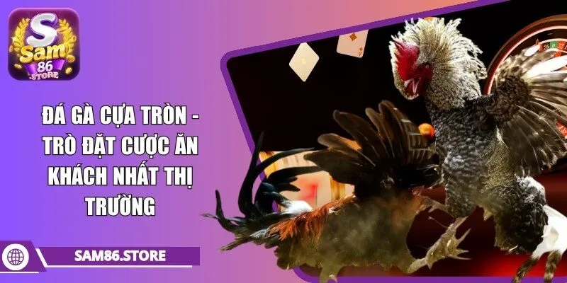 đá gà cựa tròn